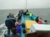HWK Texel 204_small.jpg